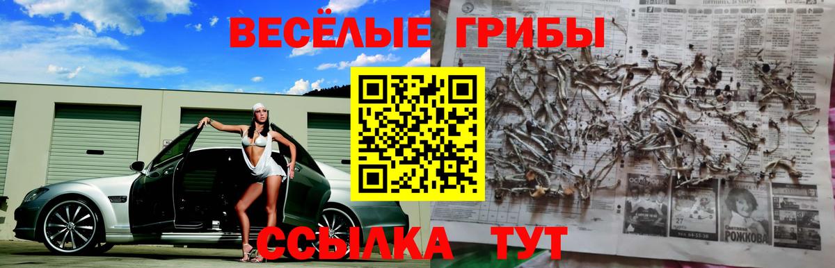 Галлюциногенные грибы GOLDEN TEACHER  Вход с VPN  Рассказово 