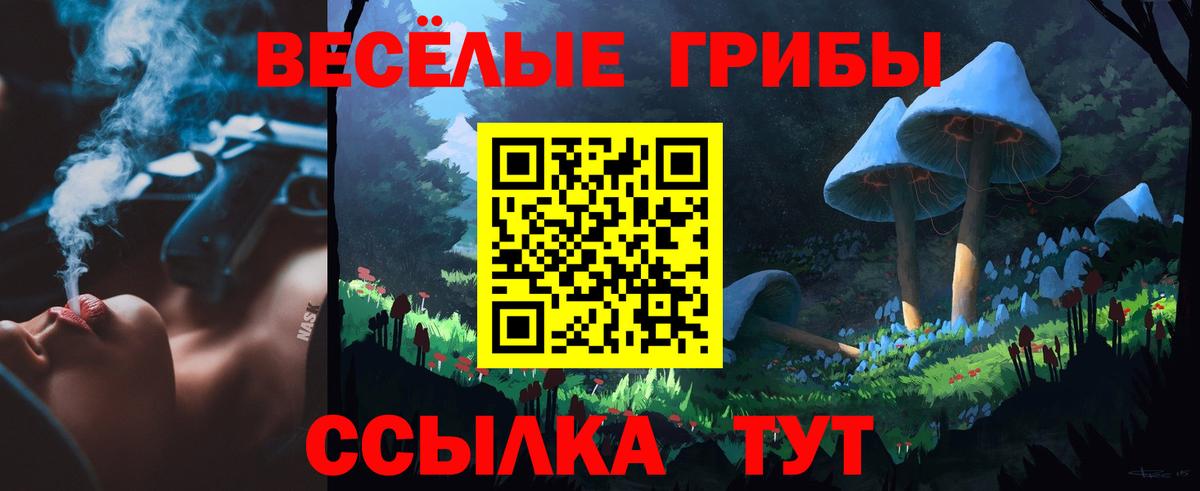 Псилоцибиновые грибы Psilocybine cubensis Рассказово